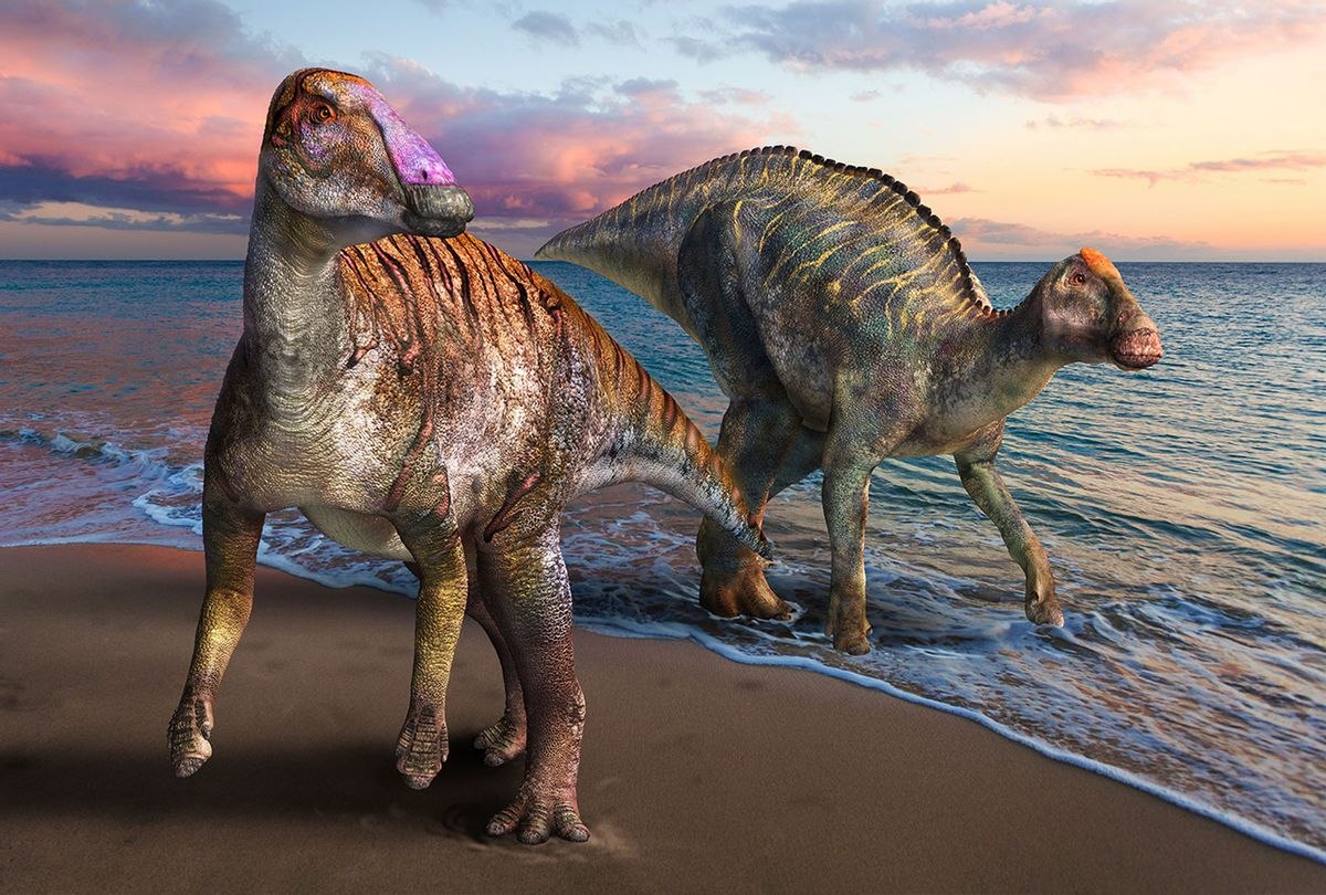 Зауролоф динозавр красивые фото и картинки