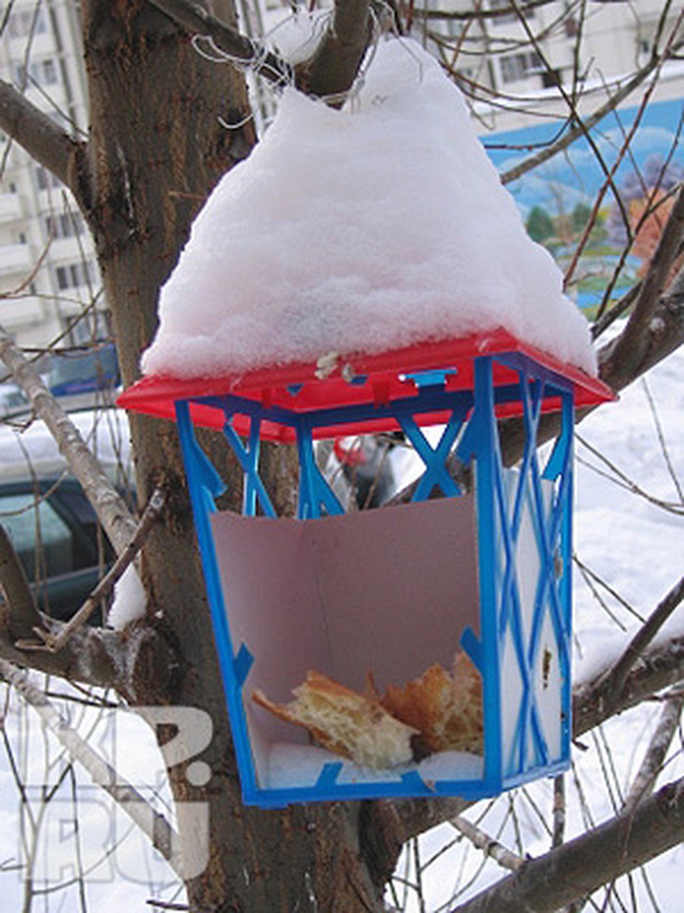 Кормушка для птиц в школу. Кормушка из подручных материалов. Кормушка для птиц из подручных материалов. Новогодняя кормушка для птиц. Мастерим кормушку для птиц.