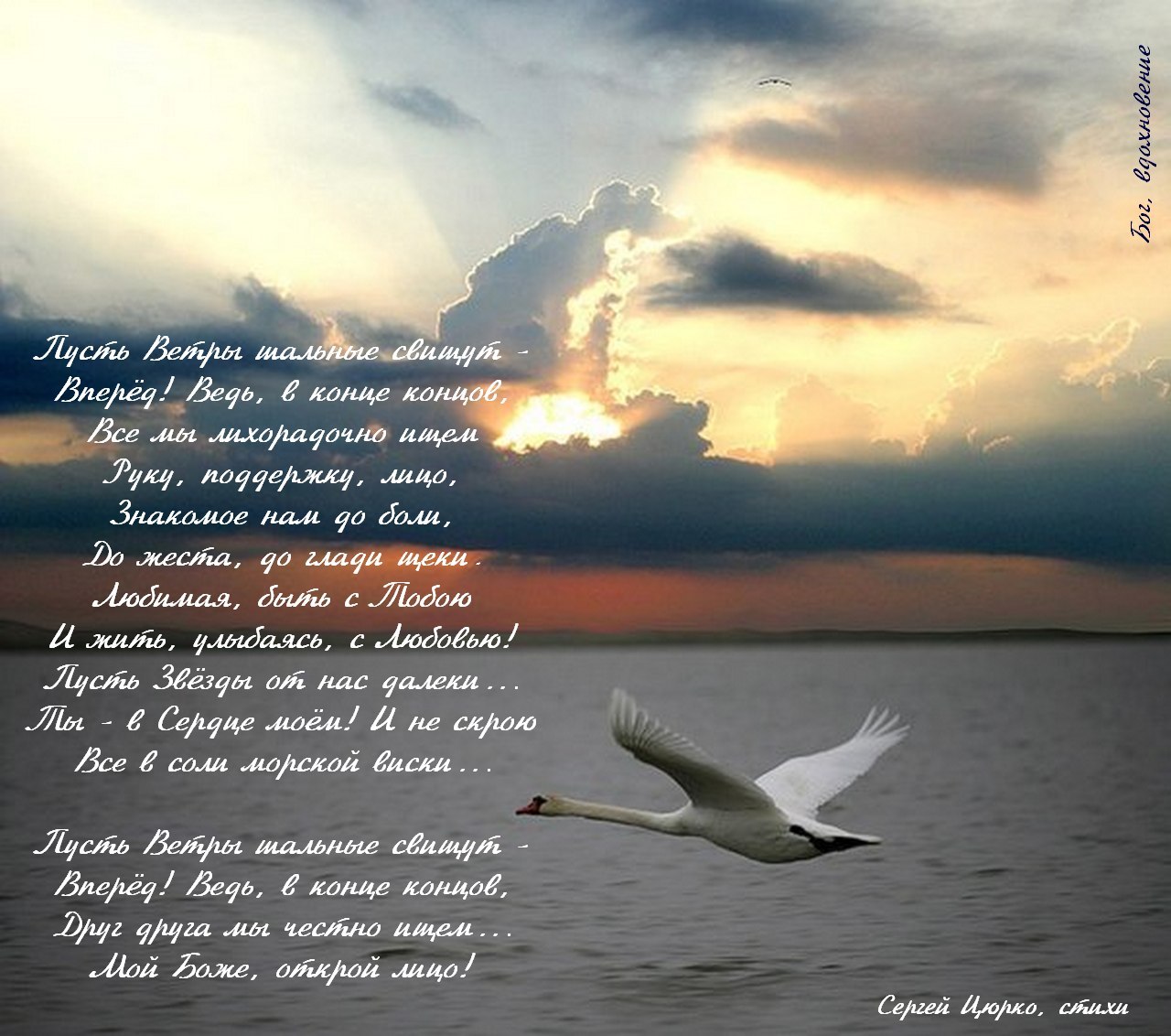 Лебедушка летала песня. Птицы в небе. Лебедь в полете. Полет лебедя. Белая птица над морем.