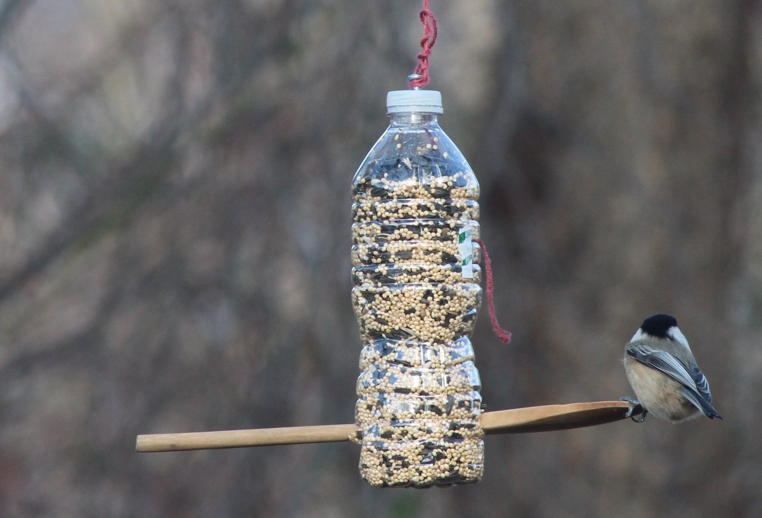 Как сделать кормушку для рыбалки - виды кормушек, изготовление из бутылки