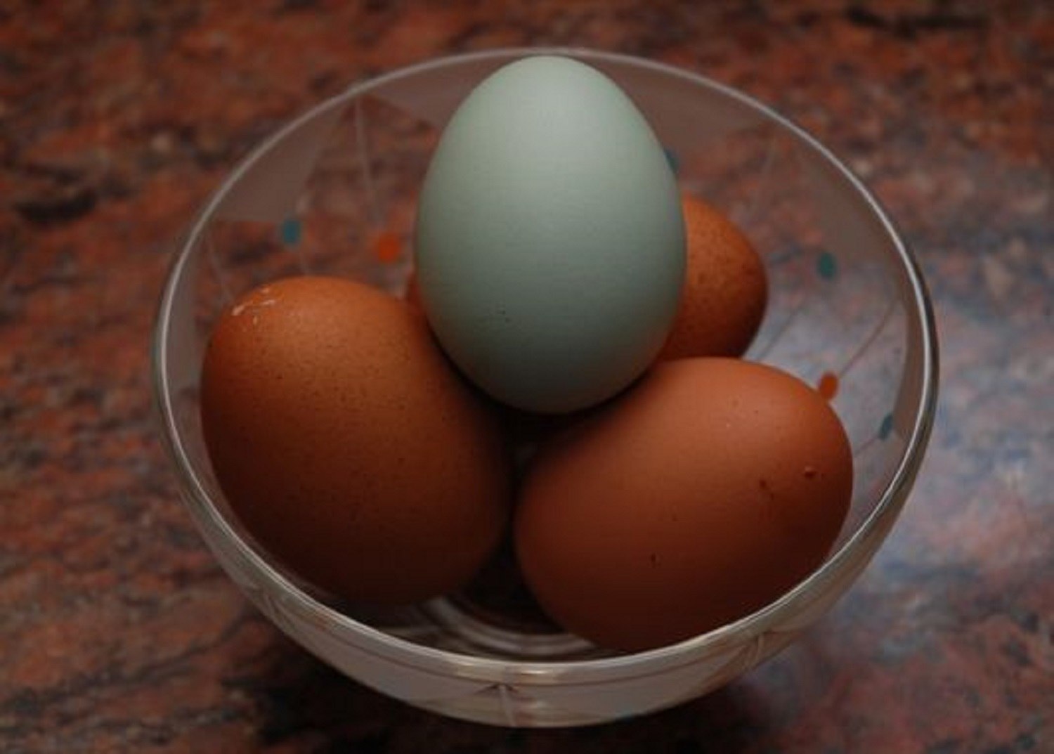 Фото кур несущих голубые яйца. Араукана яйца. Куры Араукана яйца. Голубые яйца Араукана. Яйца утки Араукана.