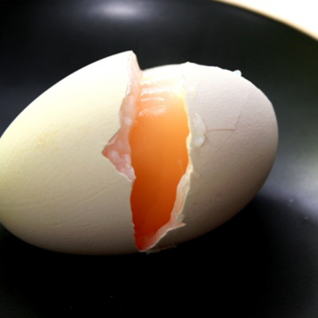 Привкус яиц. Гусиные яйца. Гусиное и куриное яйцо. Гусиное яйцо вареное. Яйца гуся.