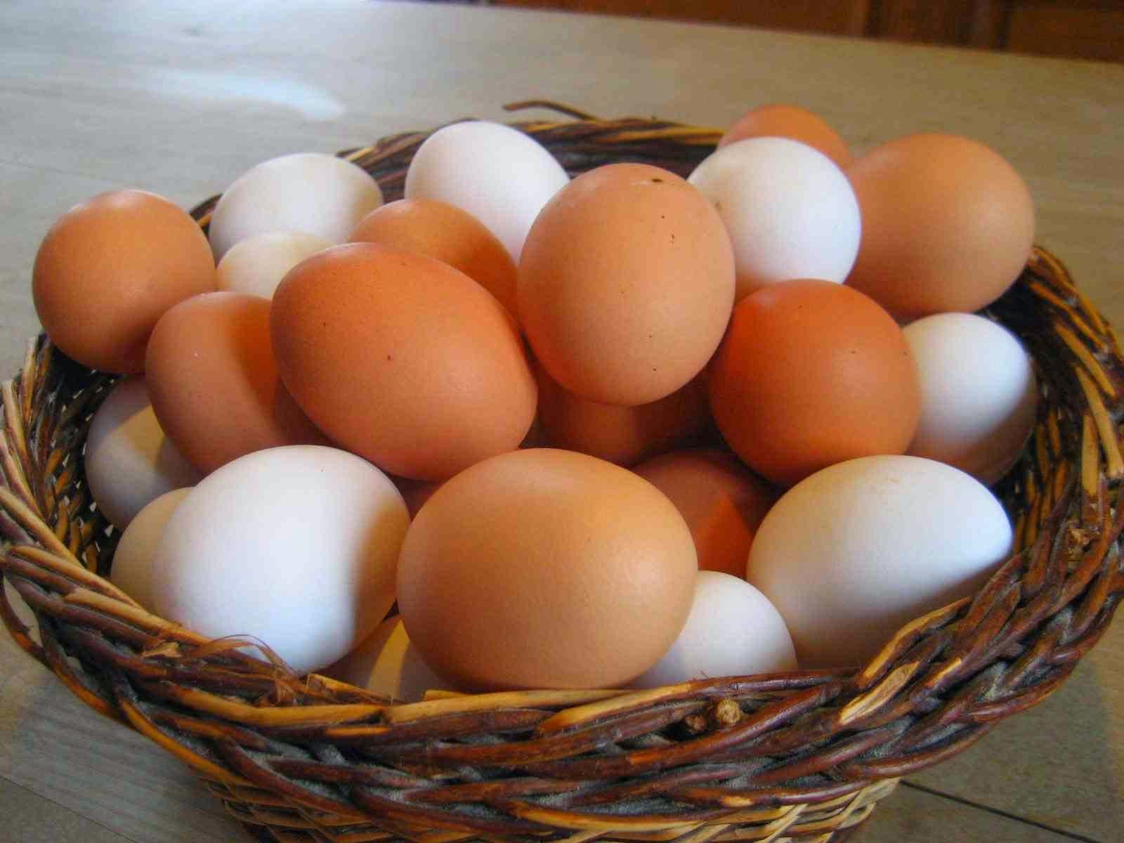 Какие должны быть домашние яйца. Домашние яйца. Домашние куриные яйца. Яйца кур. Яйца фото.