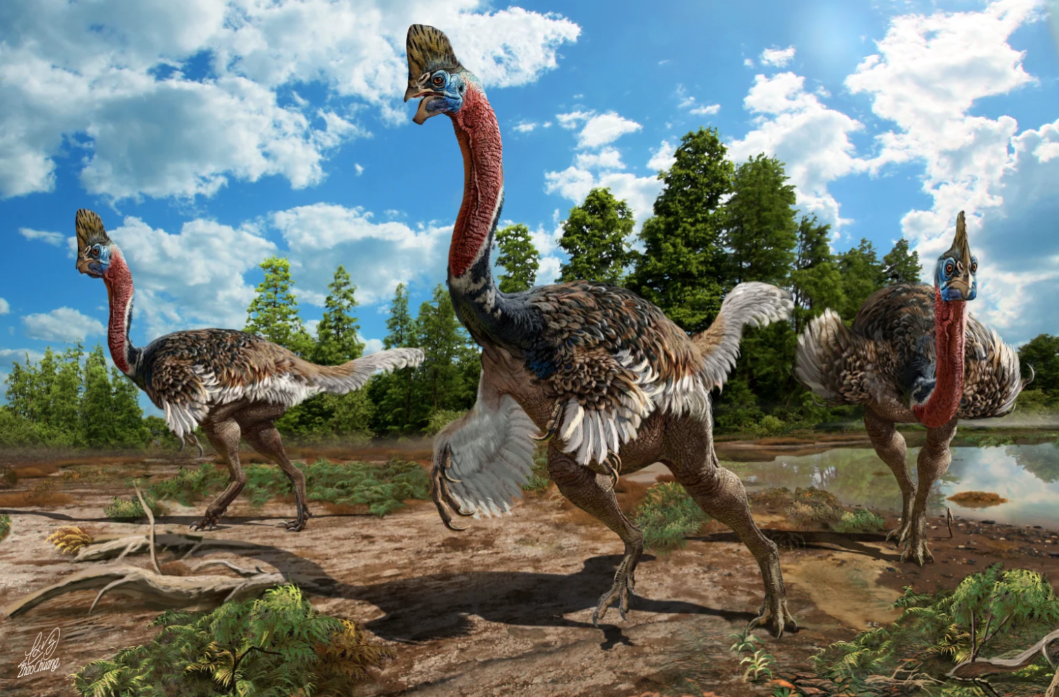 Птицы потомки. Овираптор динозавр. Corythoraptor JACOBSI. Читипати динозавр. Титанис Уоллера.