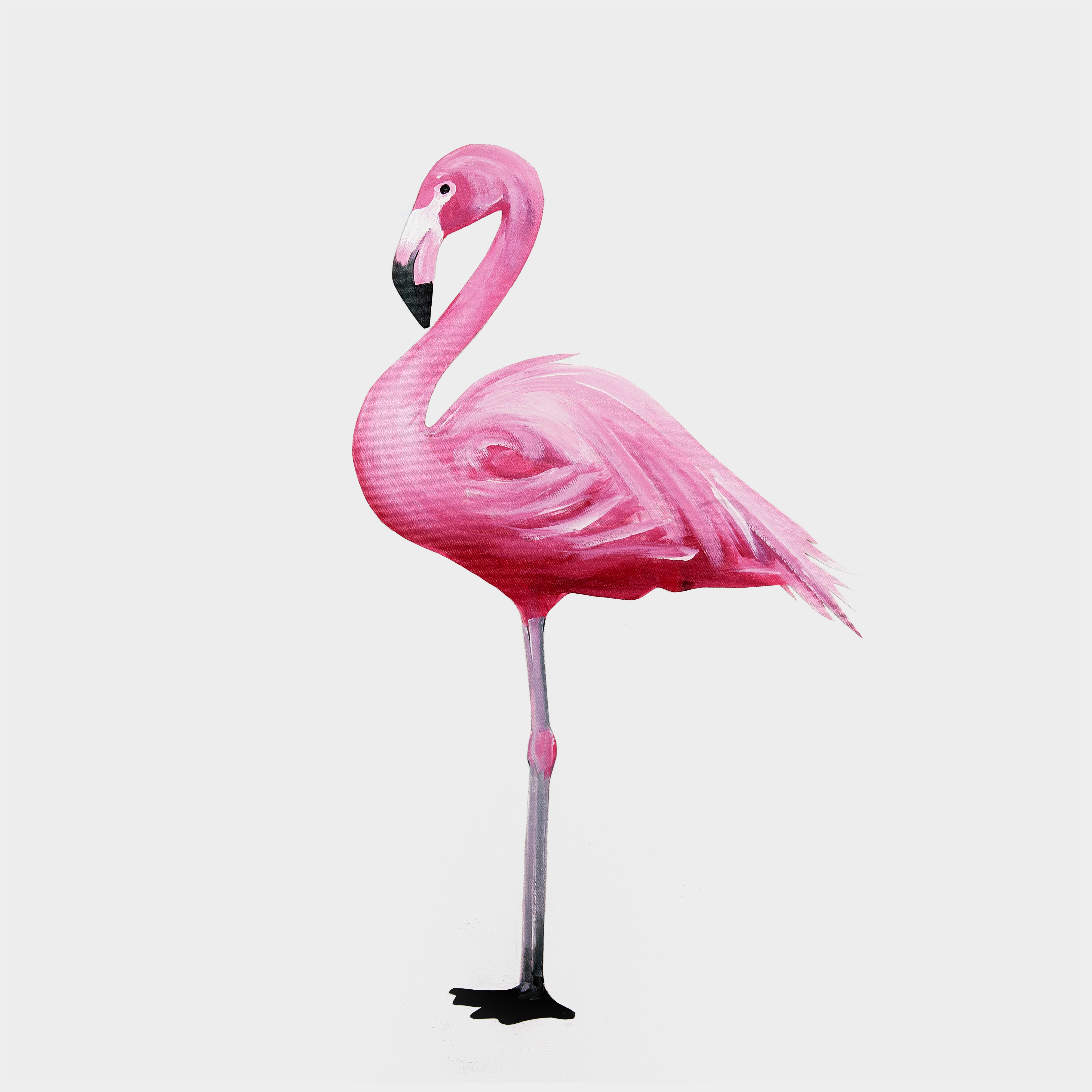 Розовый Фламинго для детей