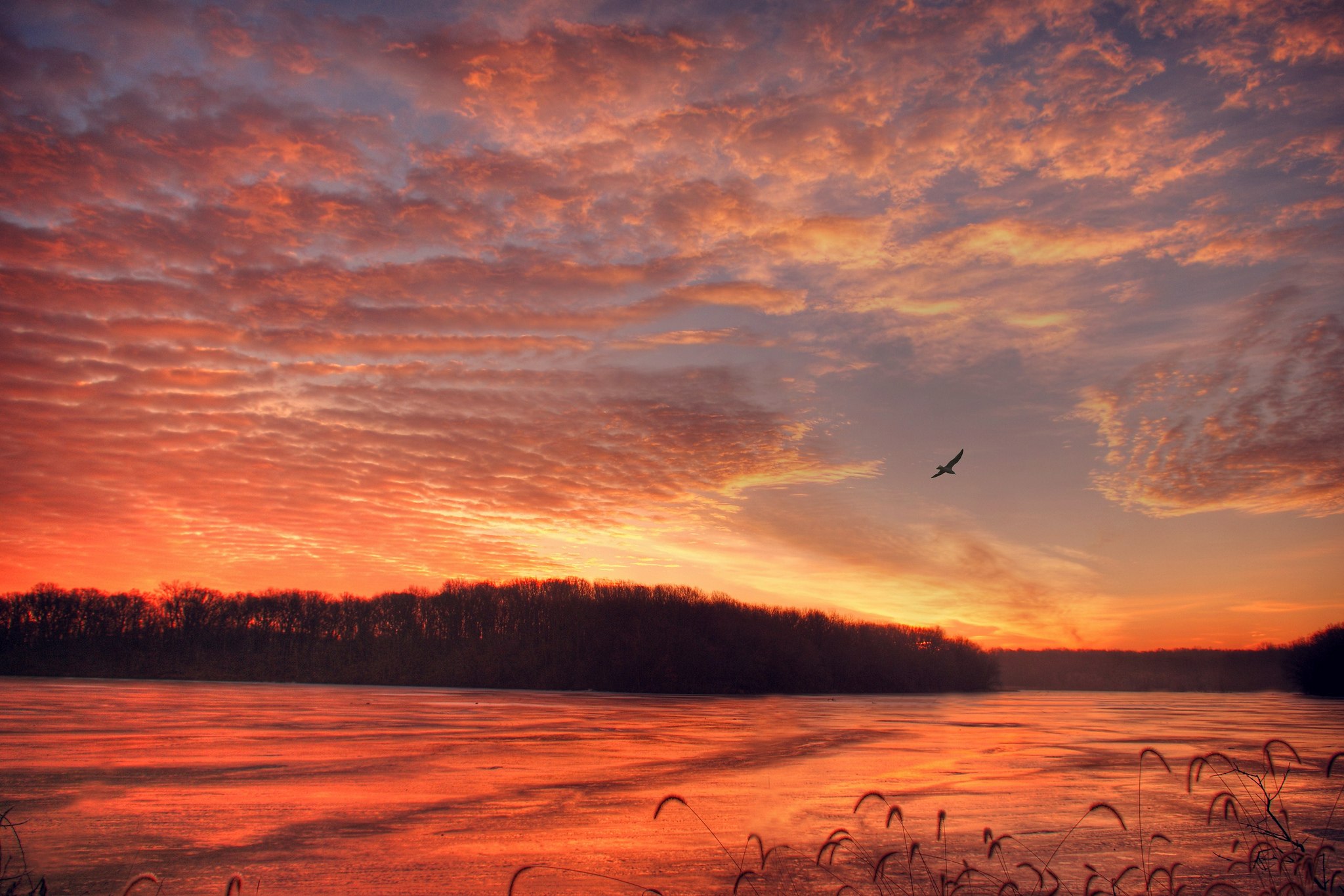 Дни летят за рассветом закат слушать. Рассвет на реке. Закат на озере. Весенний закат. Рассвет на озере.