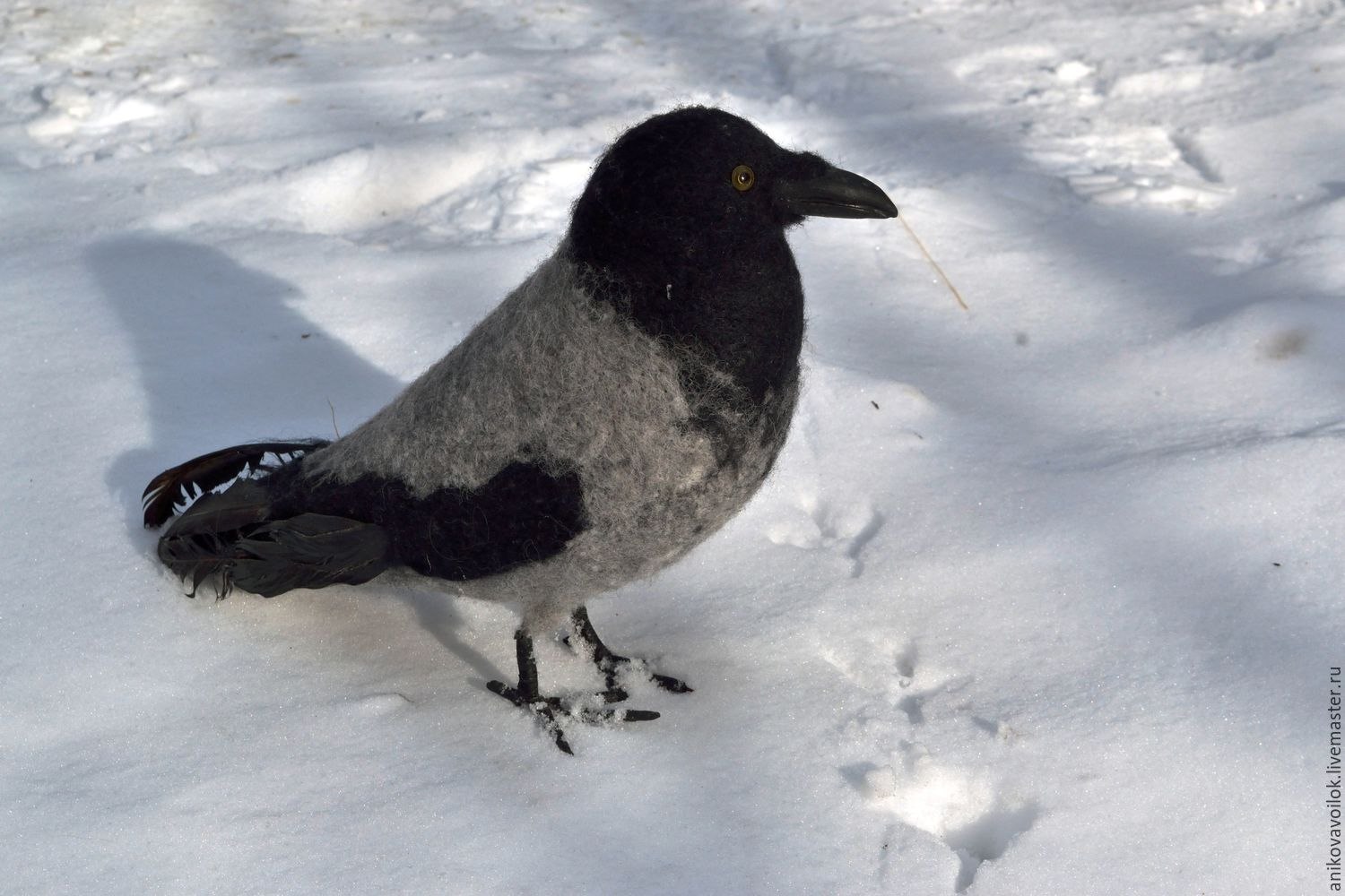 Snow crow. Ворон на снегу. Вороны на снегу фото. Зябрев а. е., ворон на снегу, 2023 Жанр.