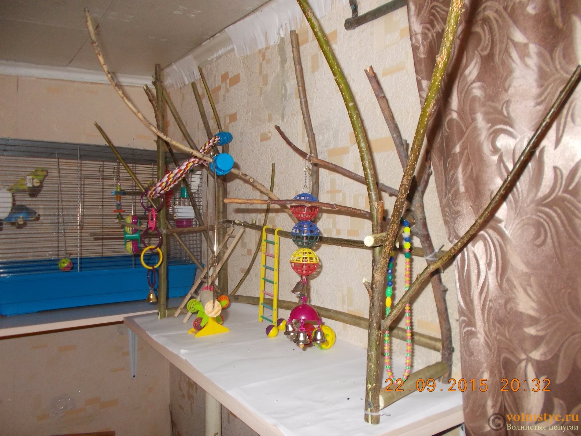 DUVO+ Игровая площадка для малых птиц деревянная купить в Москве в зоомагазине, цены - Сами с Усами