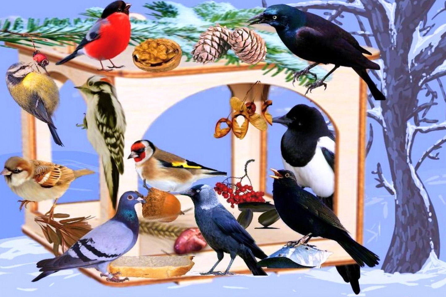 Тема недели птицы весной. Зимующие птицы. Зимующие птицы для детей. Зимующие птицы на экокормушке. Картина с изображением зимующих птиц на кормушке.
