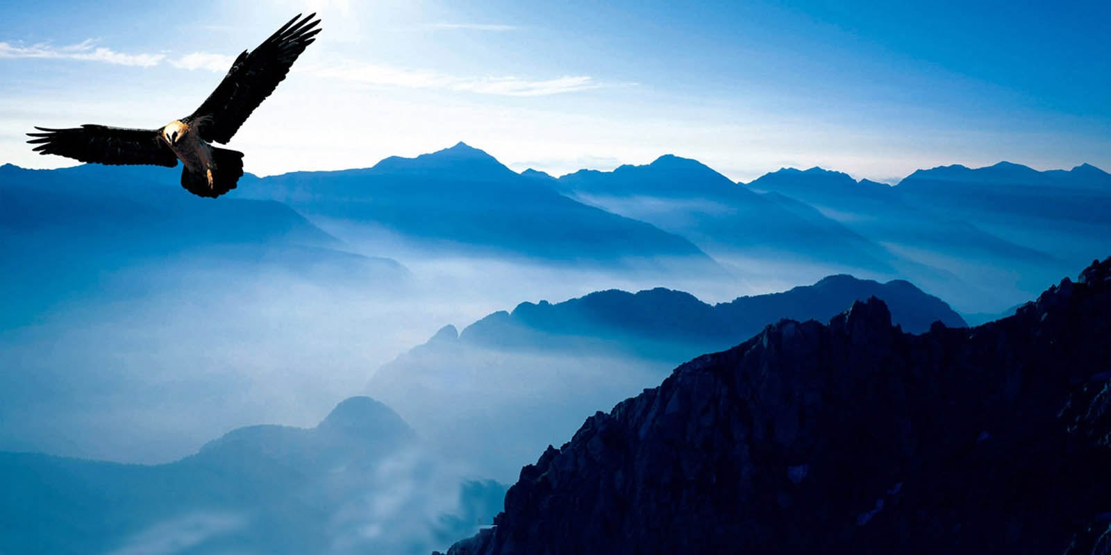 Орел в небе над горами