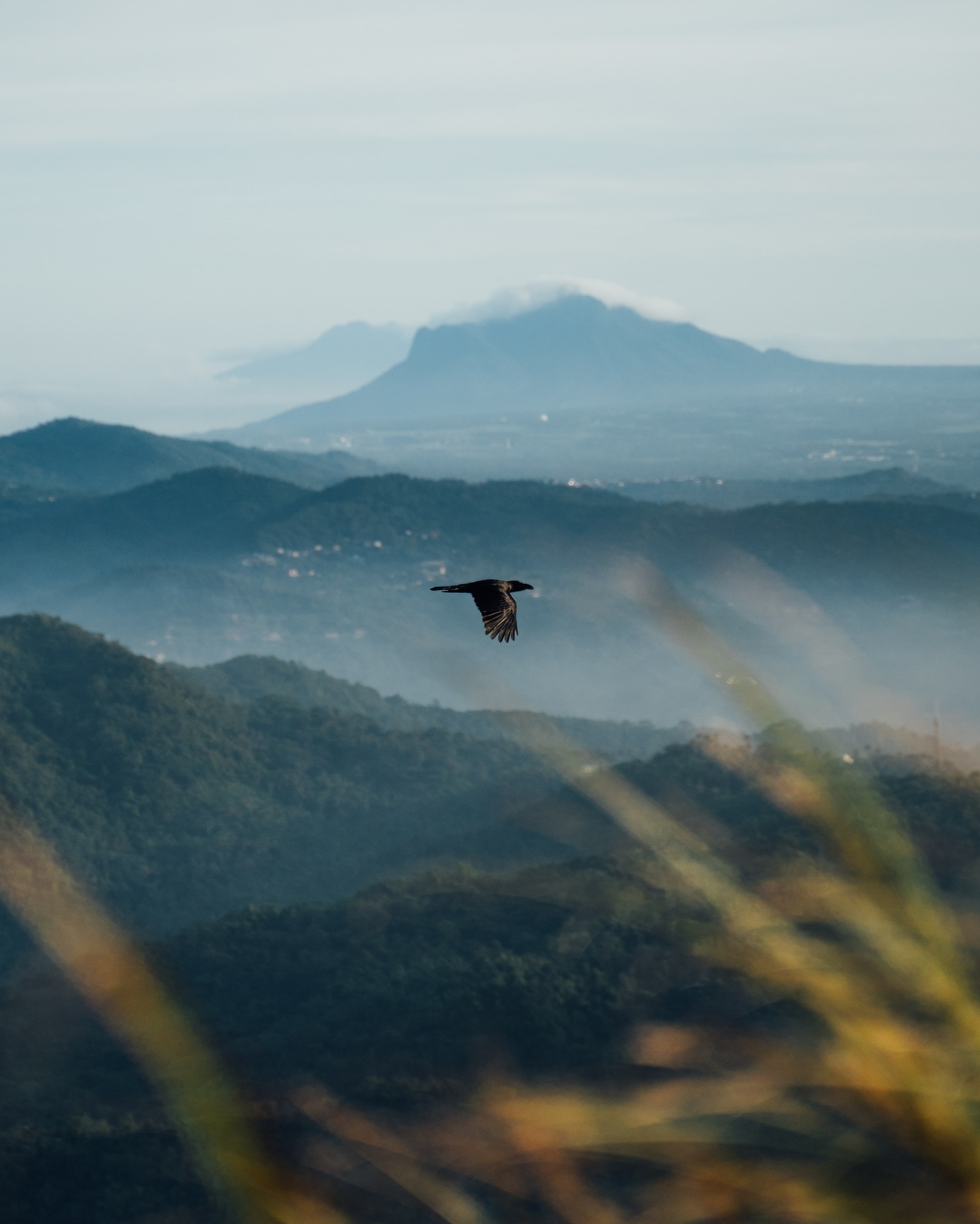 Crow mountains. Птица над горами. Полет над горами. Полет птицы. Полет птицы над горами.