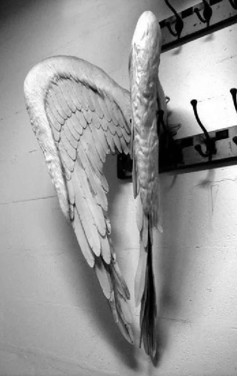 Ангел ч поломанными крыльями