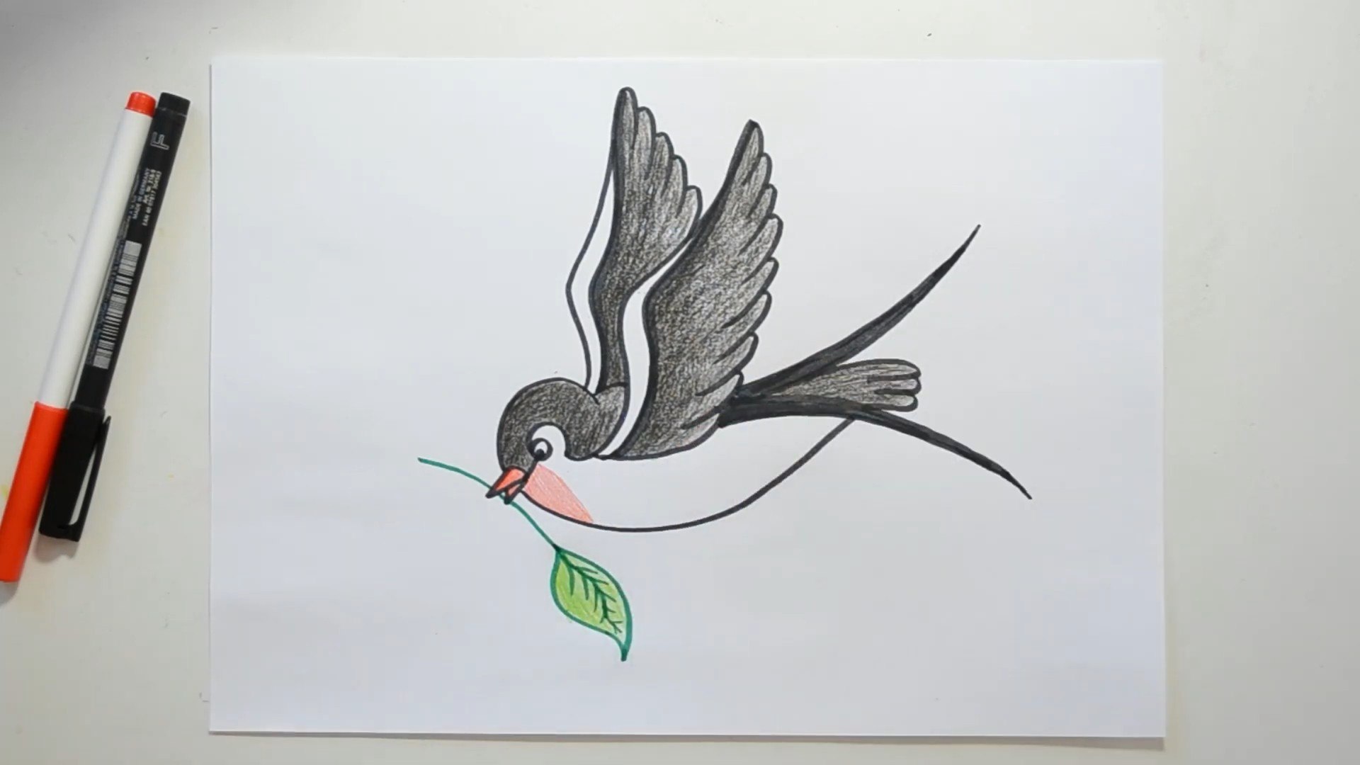 Как нарисовать ласточку для детей. Рисунок птицы карандашом для срисовки. Ласточка рисунок карандашом. Рисунок птицы карандашом для срисовки легкие. Как нарисовать ласточку.