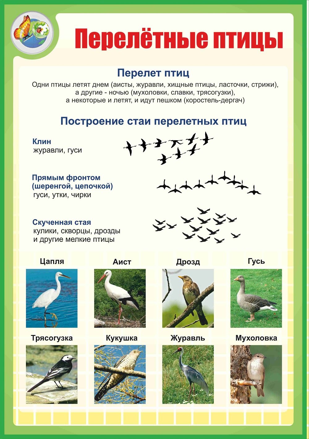 Перелетные птицы для детей подготовительной группы