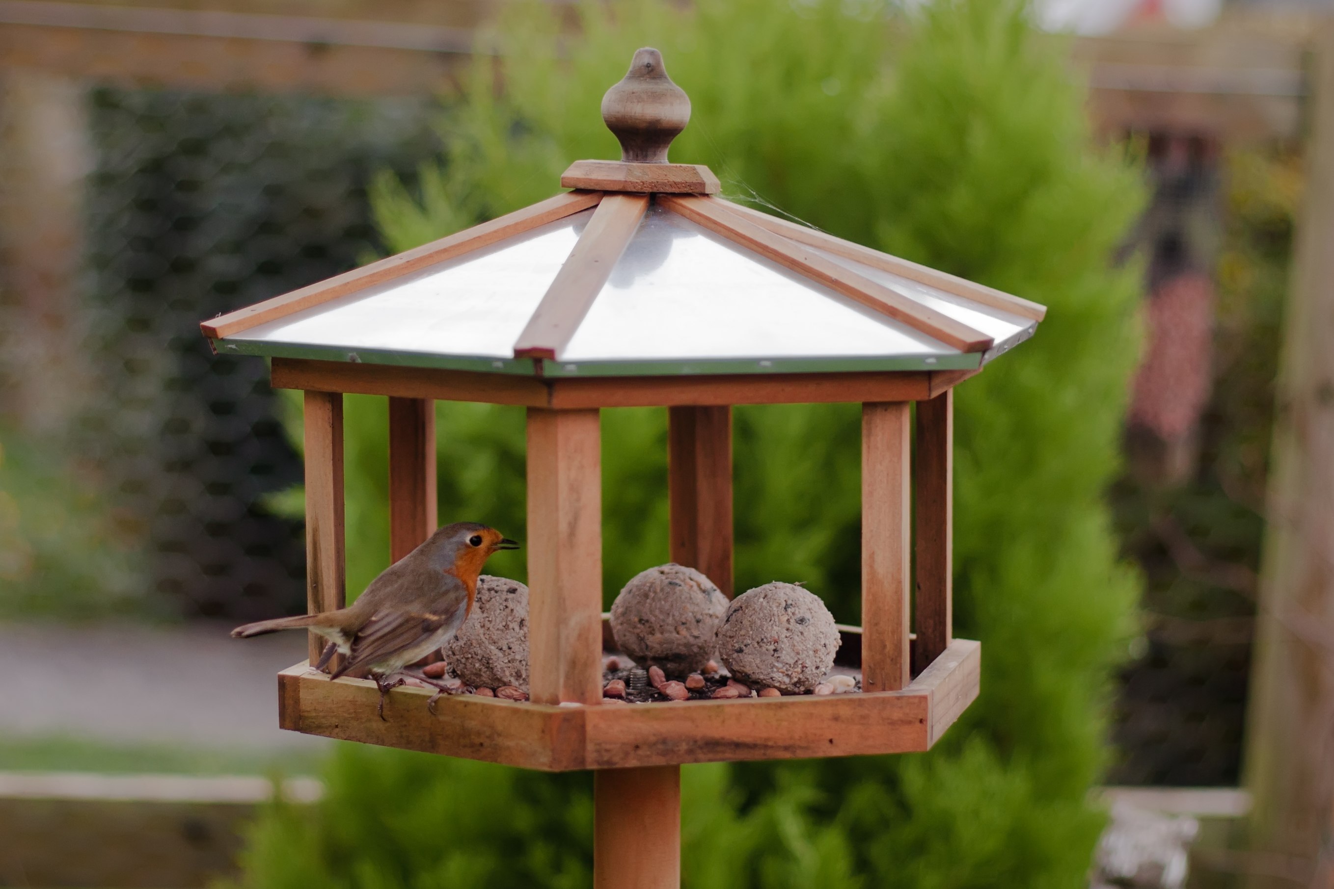 Домики для птиц в саду