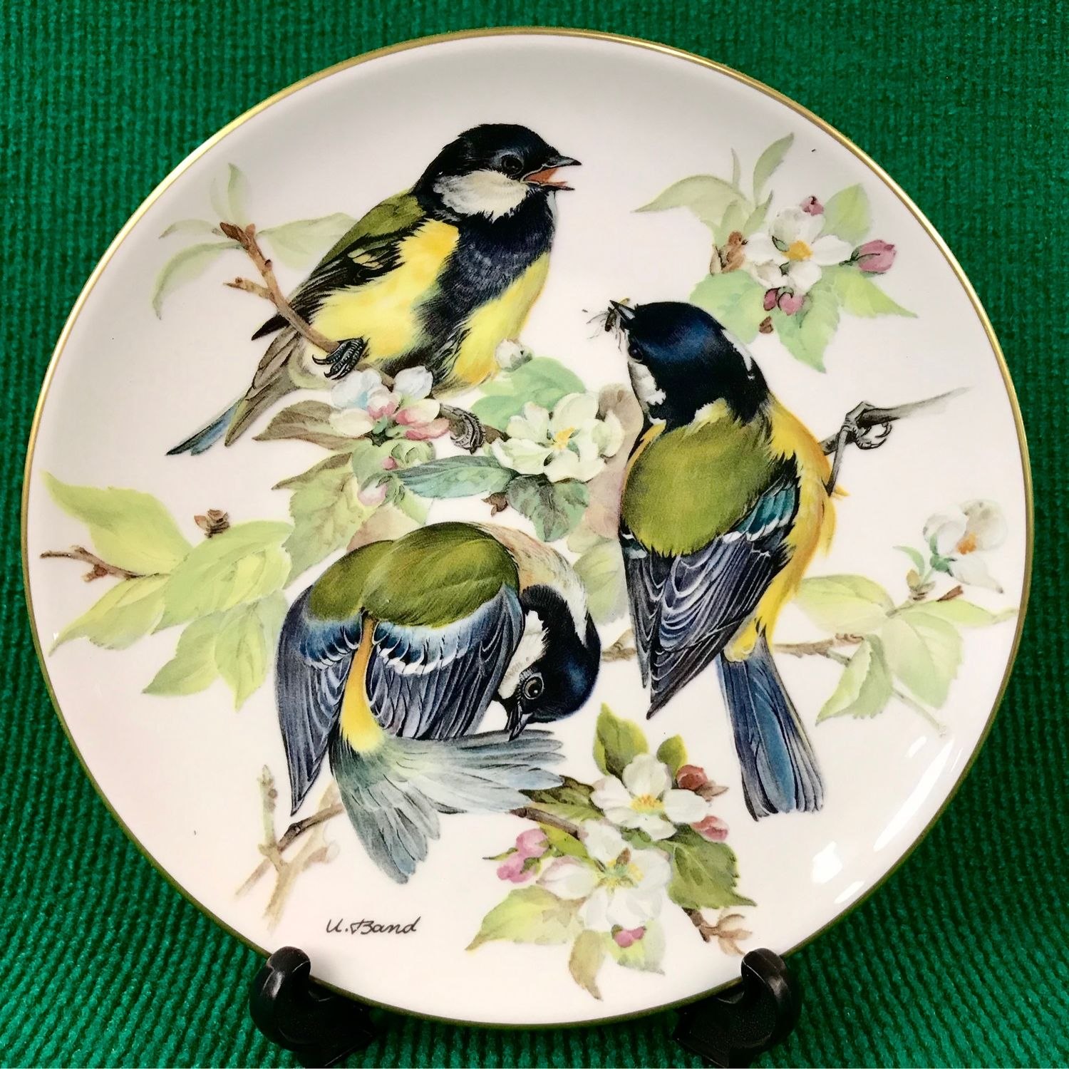 Посуда синица. Птицы на фарфоровых тарелках. Тарелки настенные птицы. Настенные тарелки с птичками. Тарелка настенная с синицей.