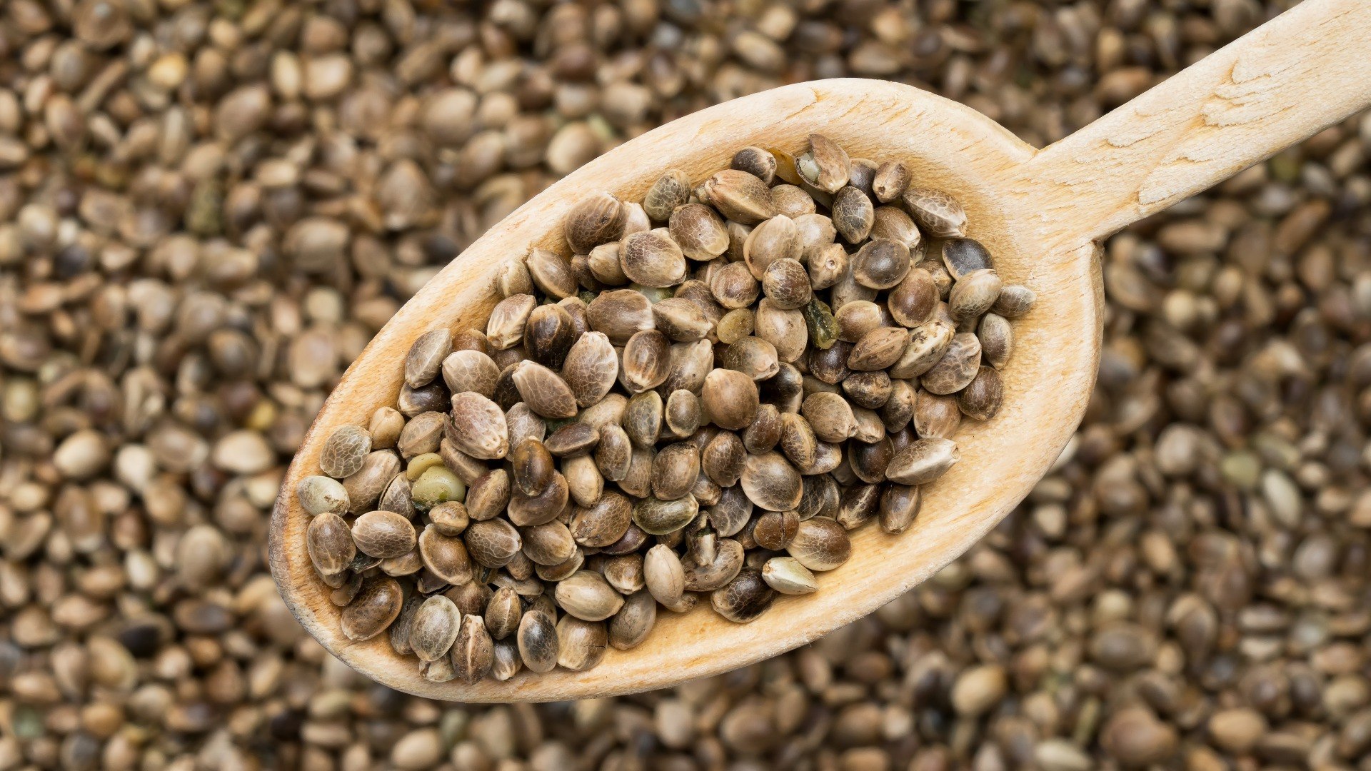 Семена конопляные купить в украине seeds приготовить малагу из конопли