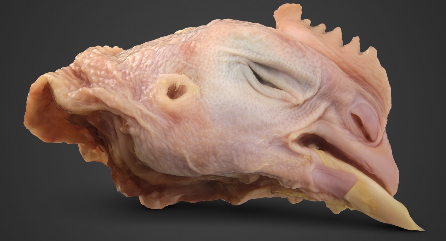 Голова курицы