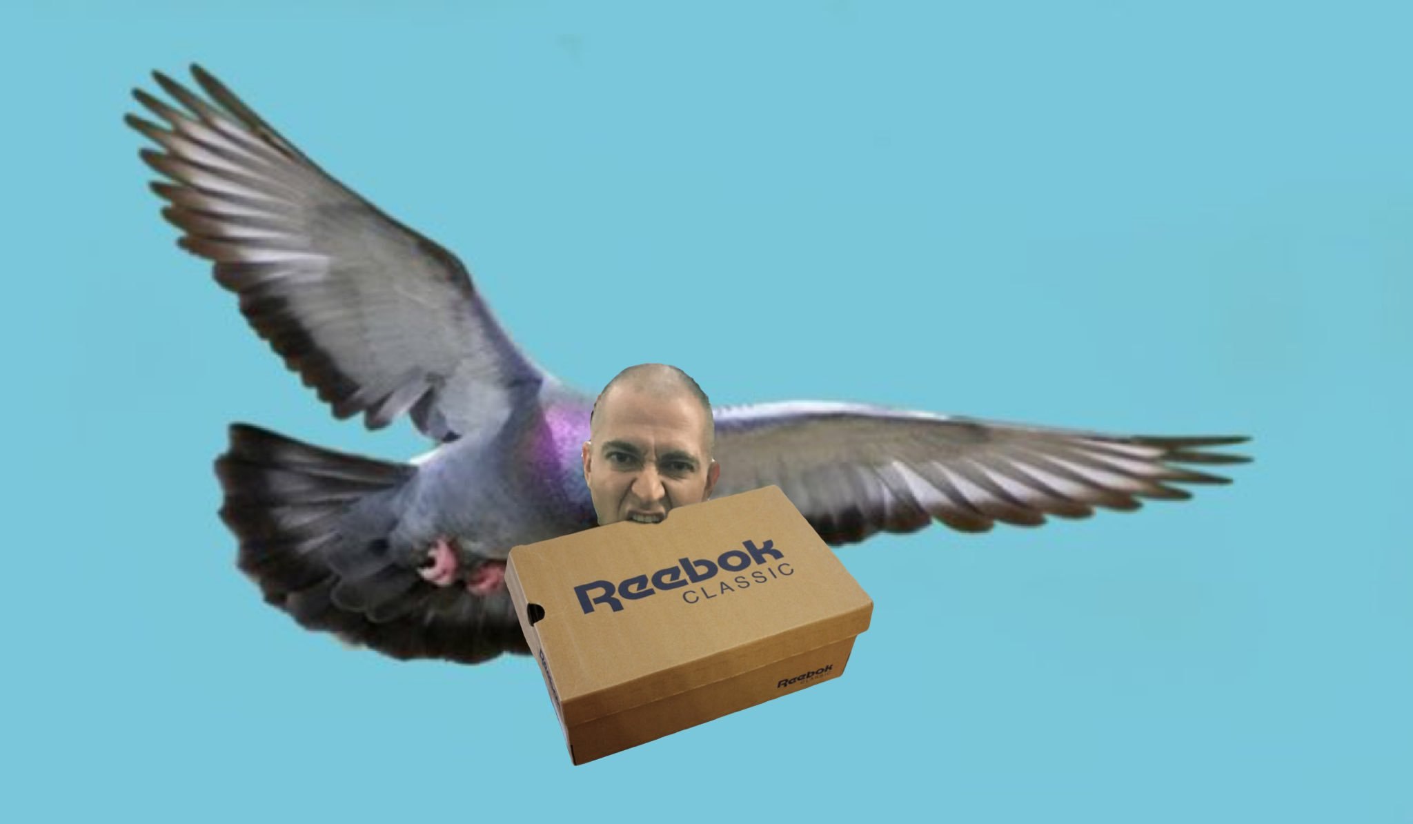 Картинка голубь с подарком с коробкой
