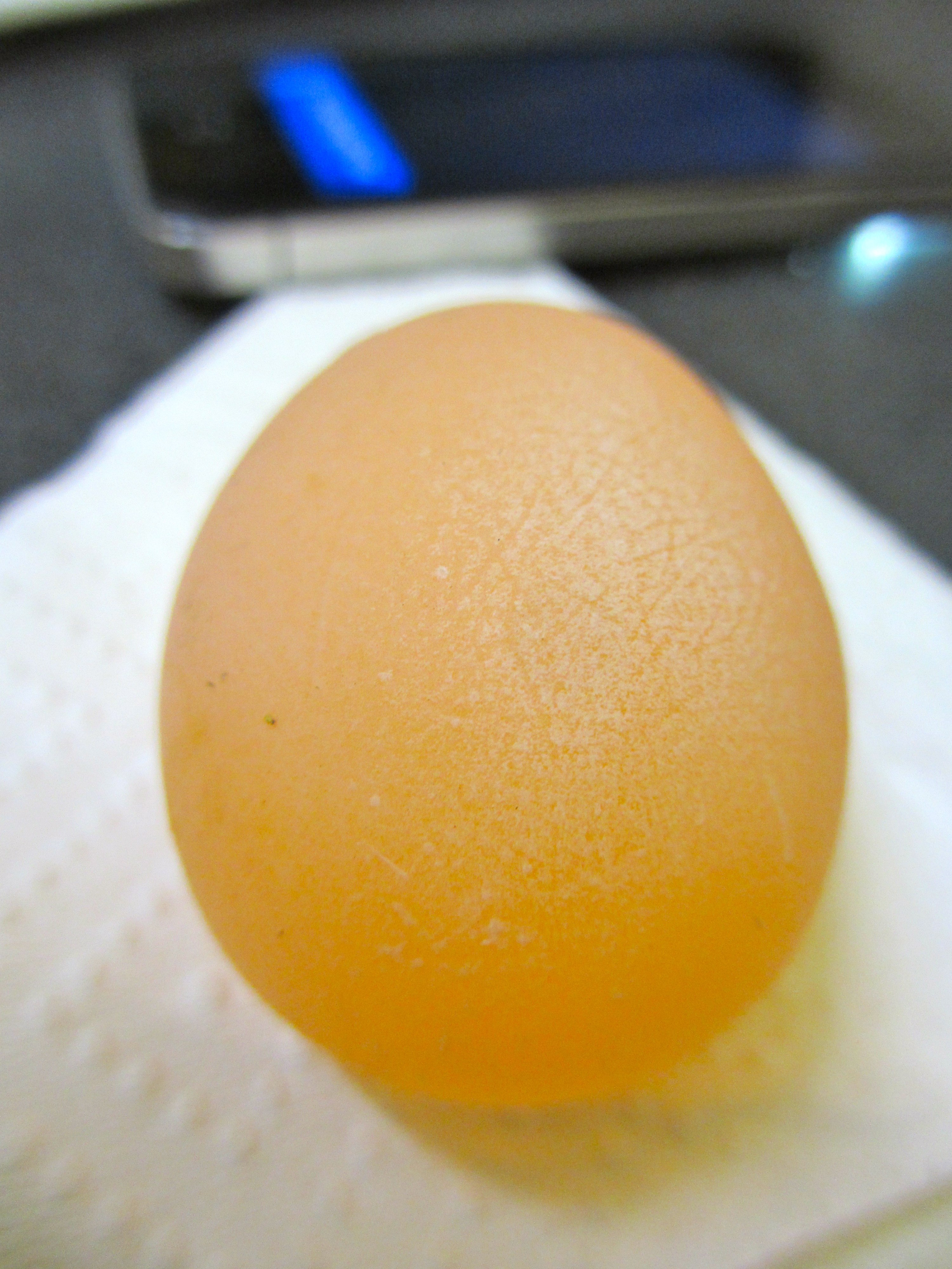 Почему яйца жидкие. Яйцо. Яйцо без скорлупы. Курица с яйцами. Мягкое яйцо.