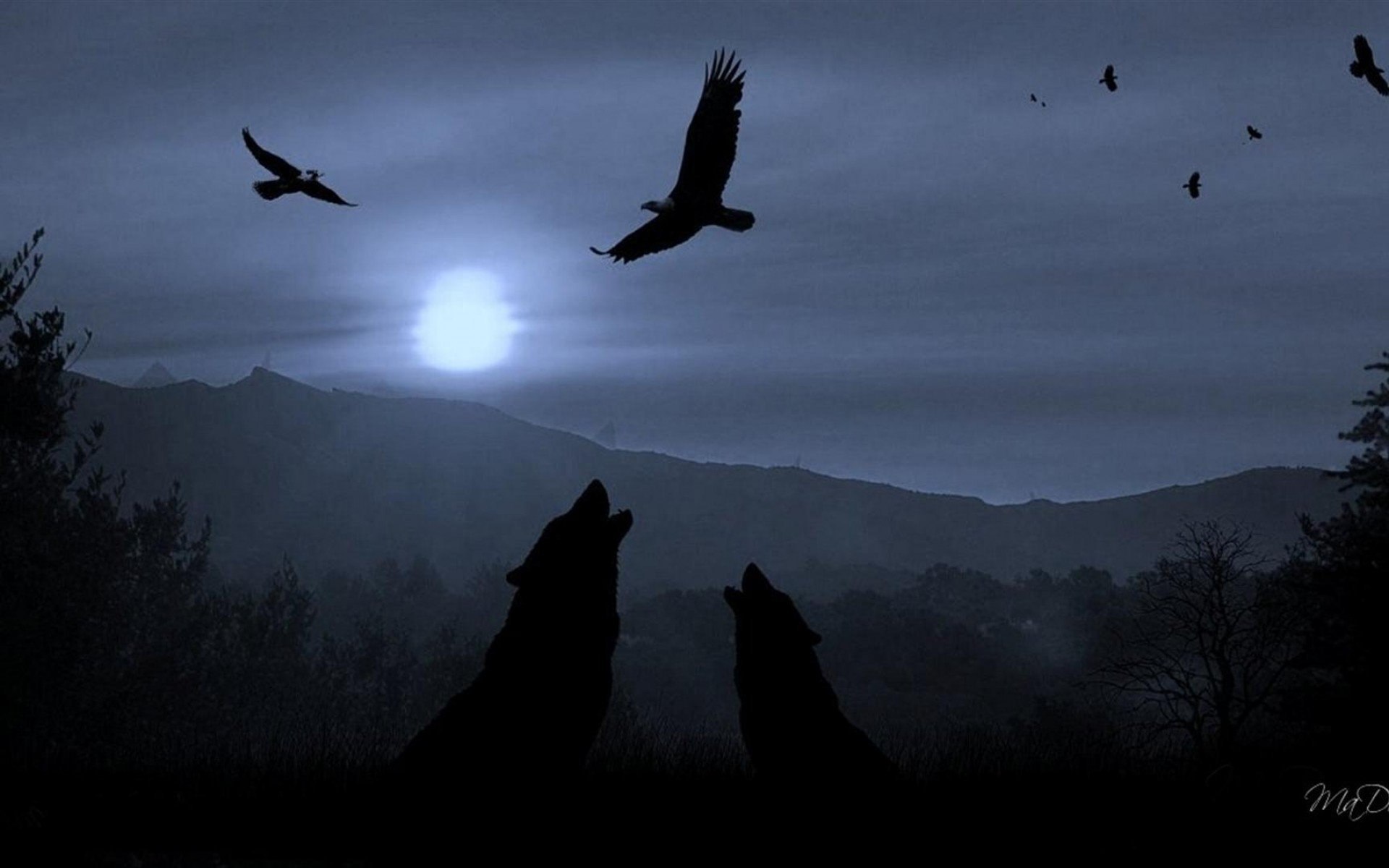 Night crows вороны. Черные вороны в небе. Птицы в небе. Птицы над лесом. Ворон в небе.