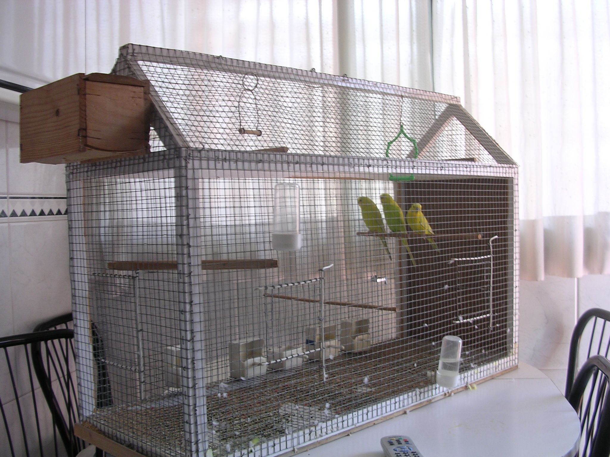 Какой он: идеальный домик для попугаев?