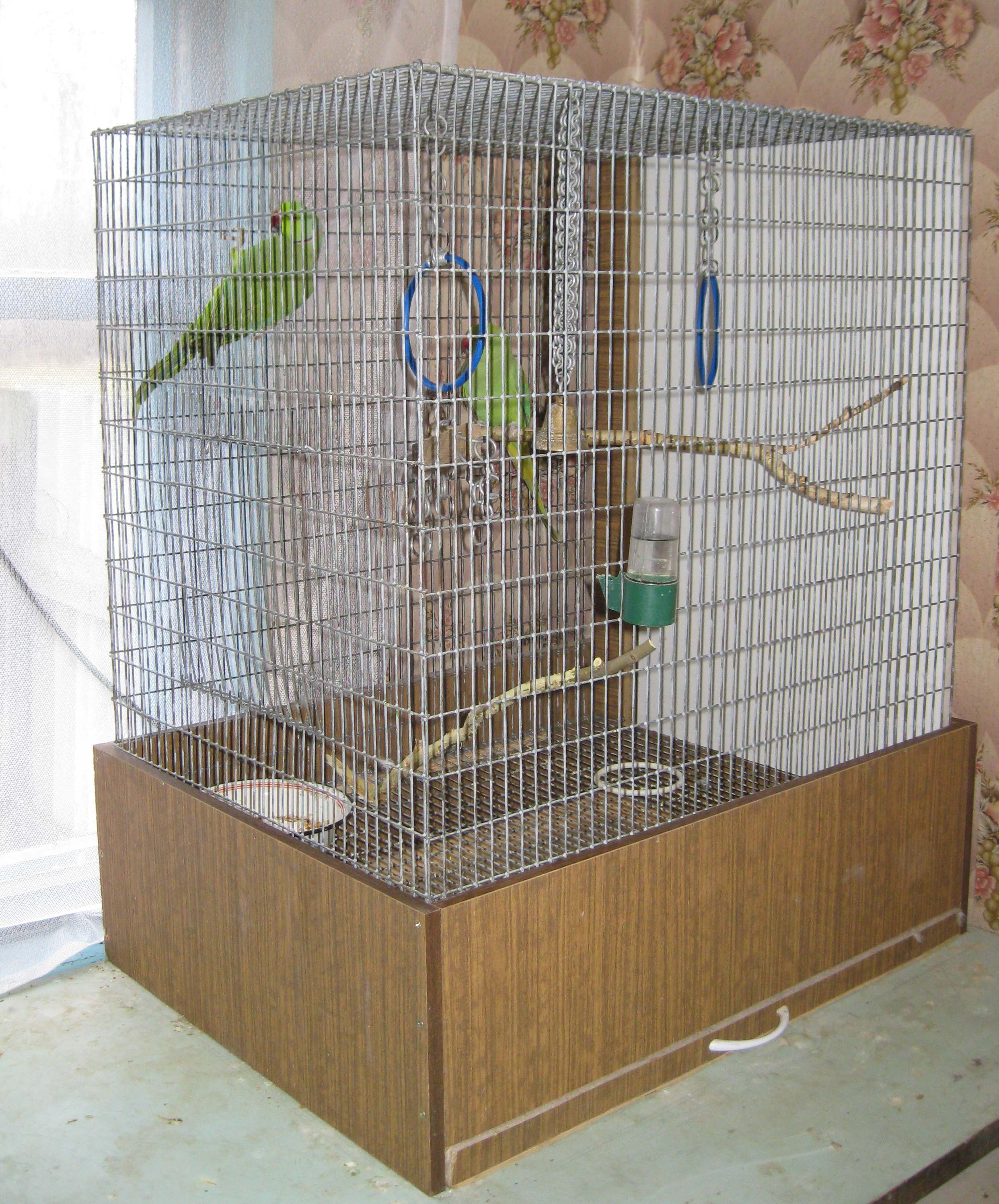 Милый дом для попугая своими руками. Теперь птица довольна и может летать в клетке. Схема и видео