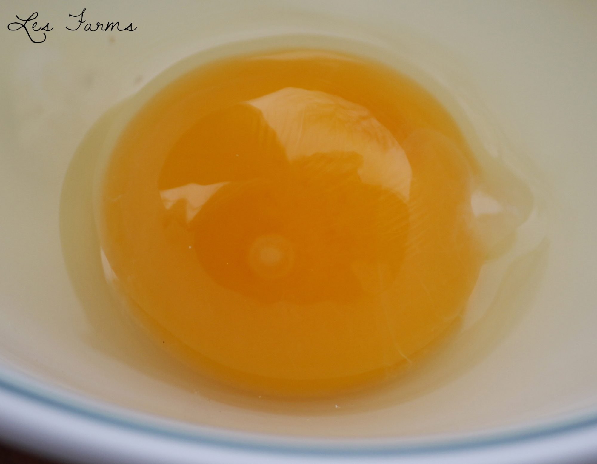 Как определить оплодотворенное яйцо курицы. Желток оплодотворённого яйца. Яйцо оплодотворенное и неоплодотворенное. Оплодотворенное куриное яйцо.