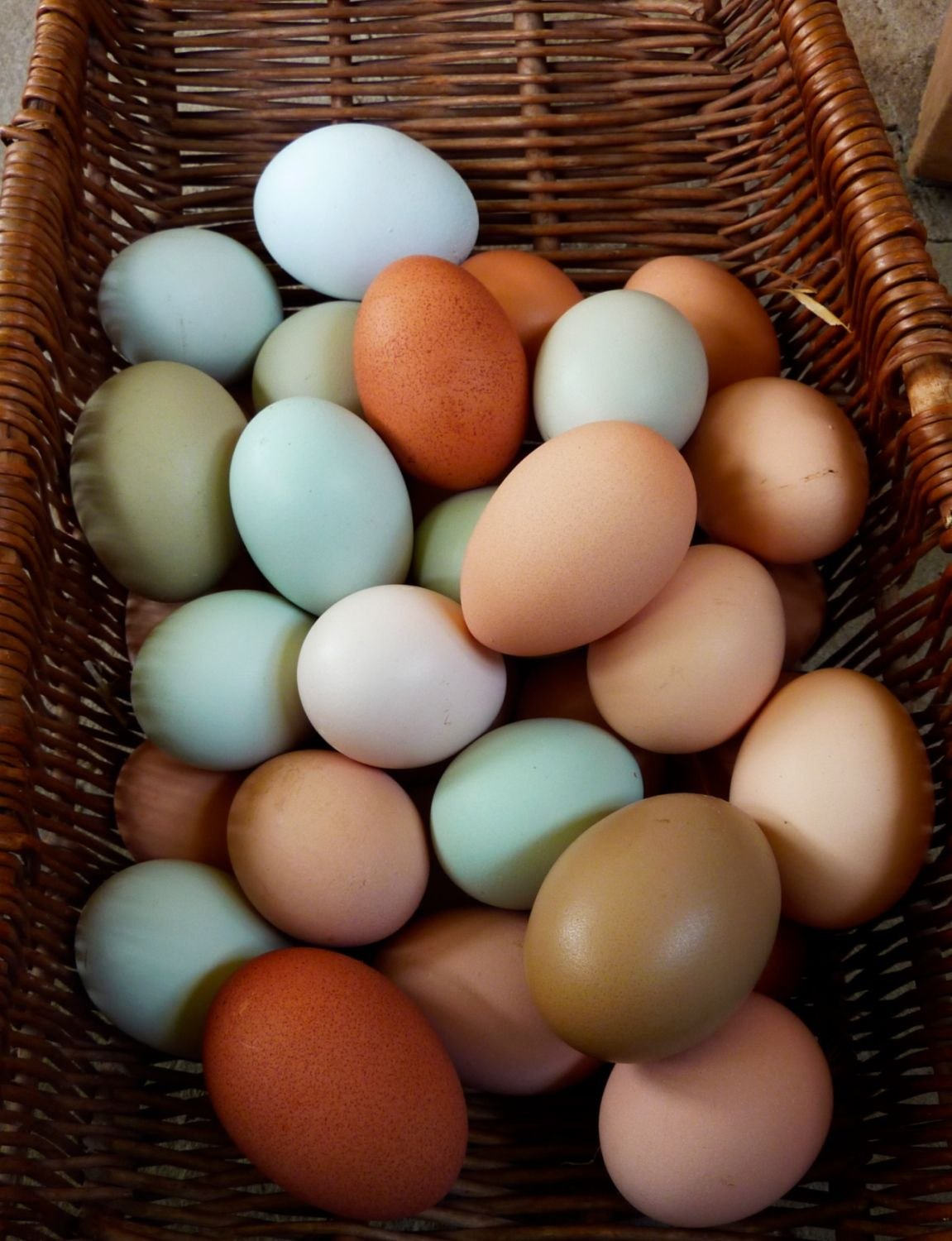 Купить яйца курей
