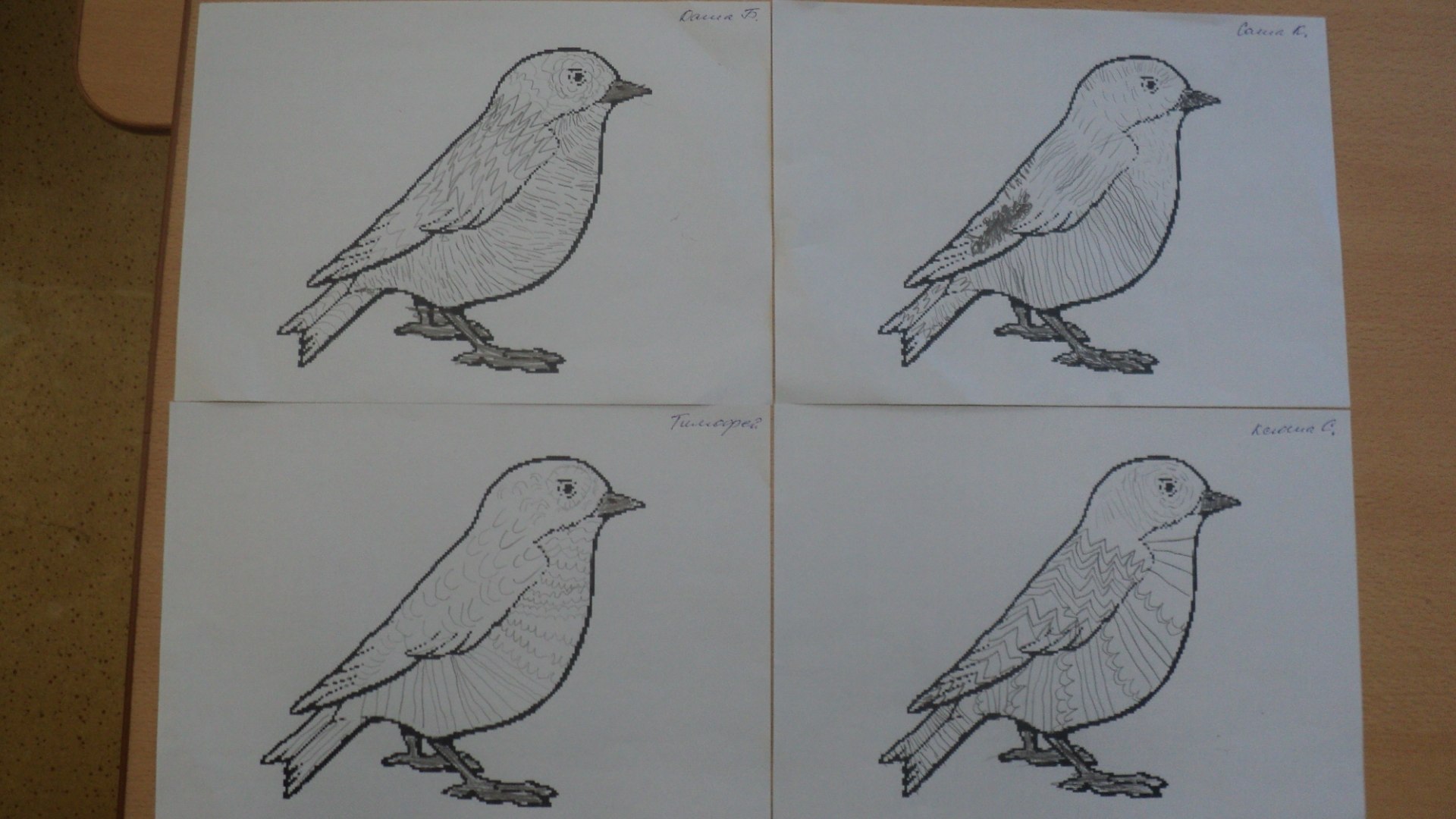 Рисунок птицы 5 класс. Штриховка птицы. Штриховка зимующие птицы для детей. Воробей рисунок карандашом. Рисование перелетные птицы.