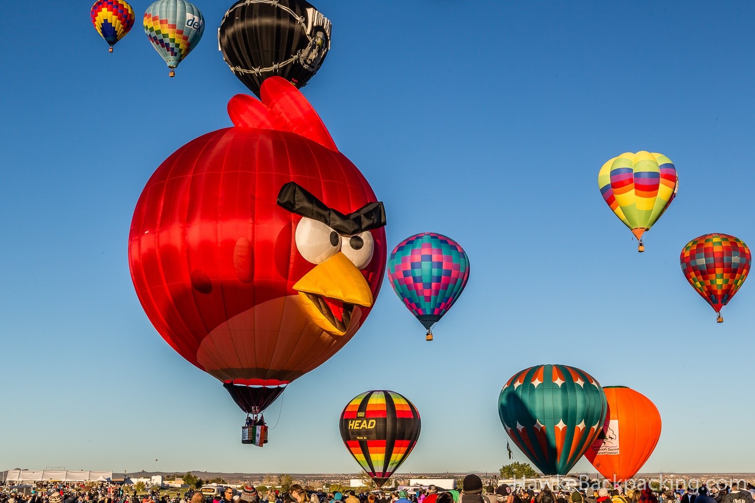 Компания воздушный шар. Фестиваль воздушных шаров в Альбукерке. Albuquerque International Balloon Fiesta фестиваль. Фестиваль воздушных шаров в Альбукерке США. Фестиваль воздушных шаров в Нью-Мексико.