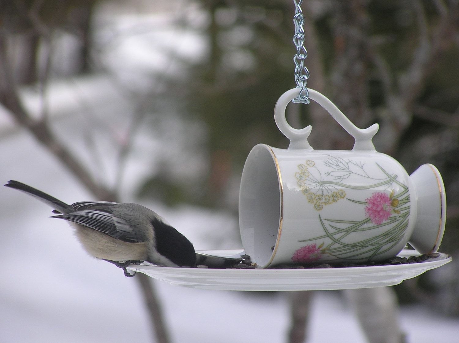 Креативные кормушки для птиц зима