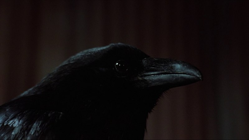 Чёрный ворон фильм 1994