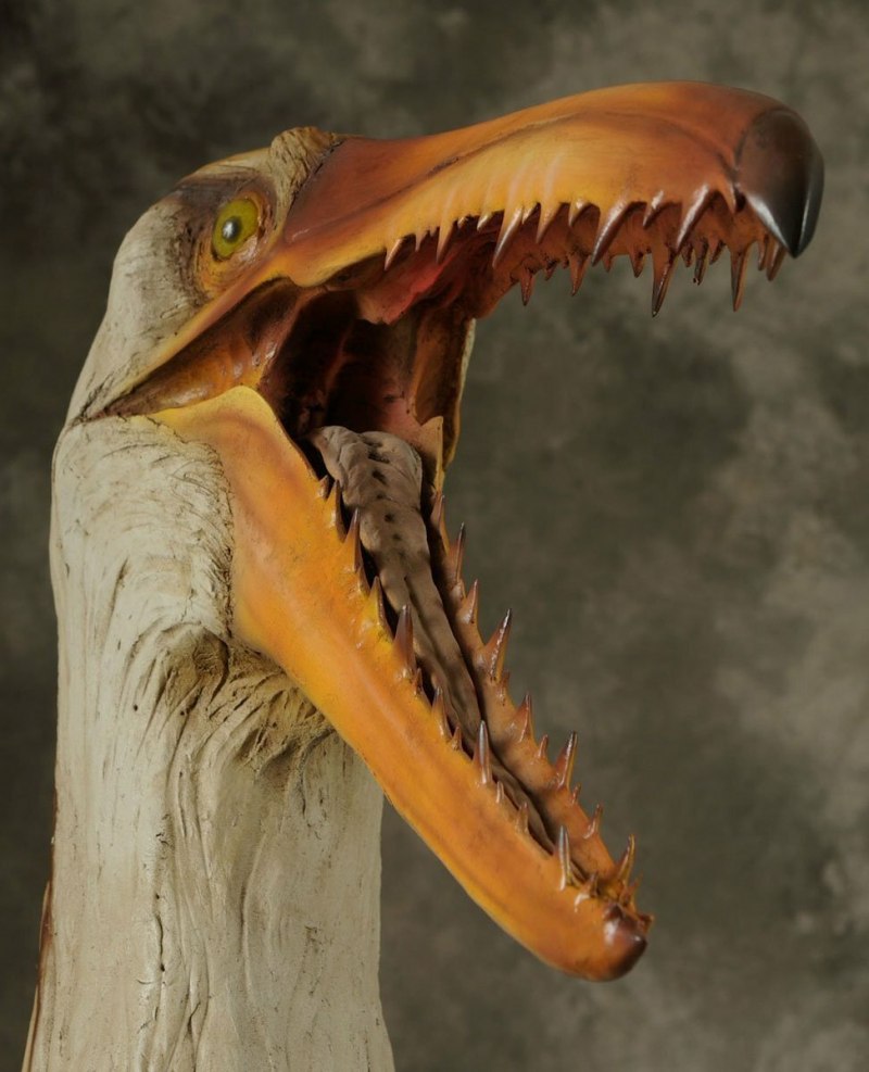Пелагорнис (Pelagornis)