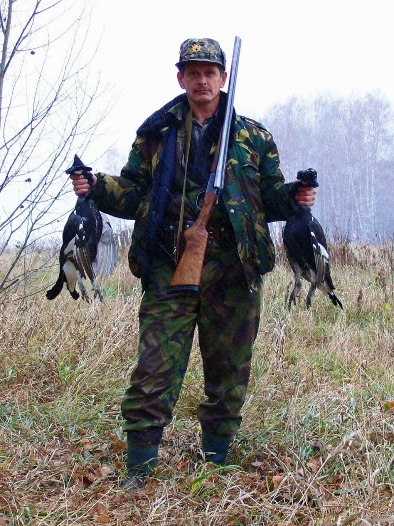 Краснобровый тетерев