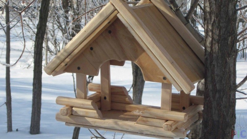 Самые красивые кормушки для птиц