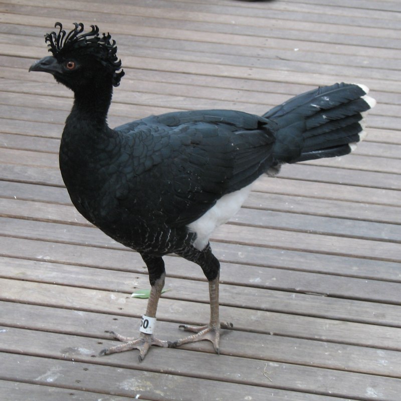 Гуань Юй 34