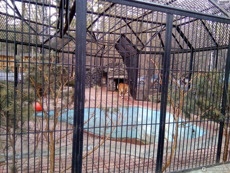 Вольеры для павлинов