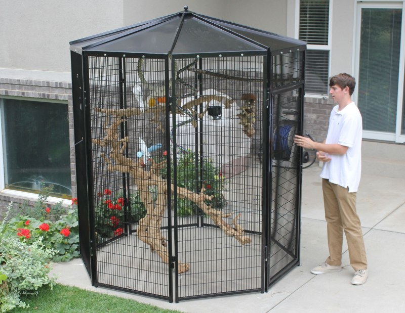 Aviary вольер