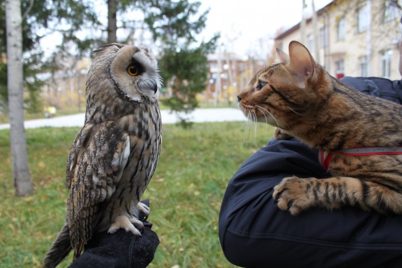 Елена Корнеева фотограф