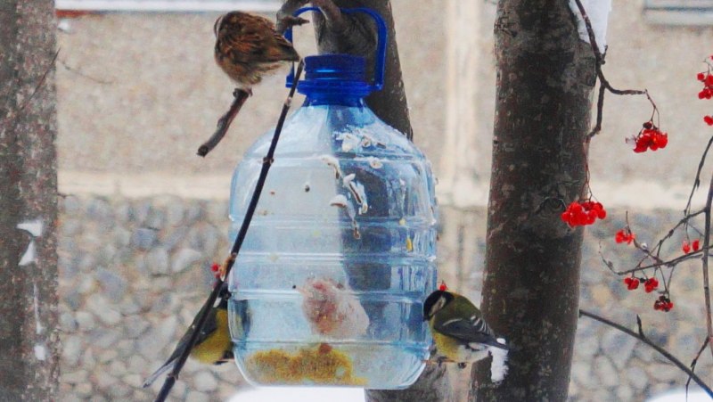 Скворечники для птиц своими руками оригинальные идеи из бутылки (78 фото)