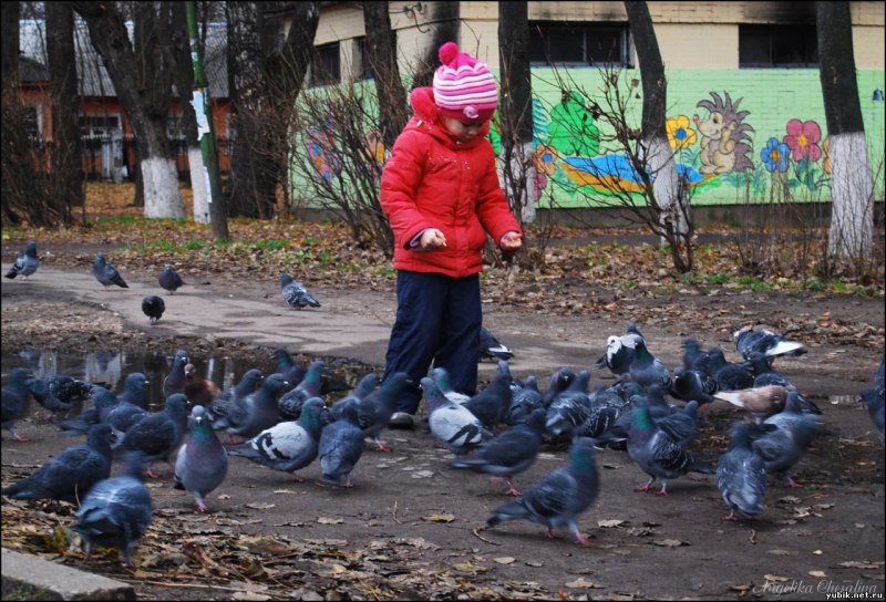 Дети кормят птиц летом