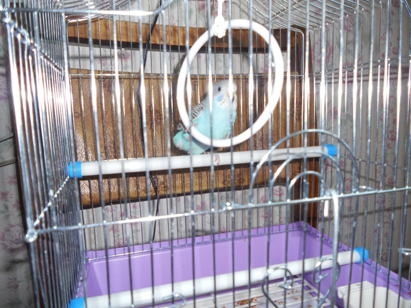 Клетка Ferplast Rekord 4