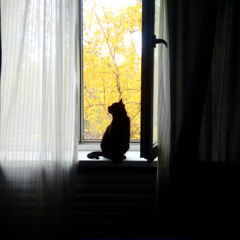 За окном