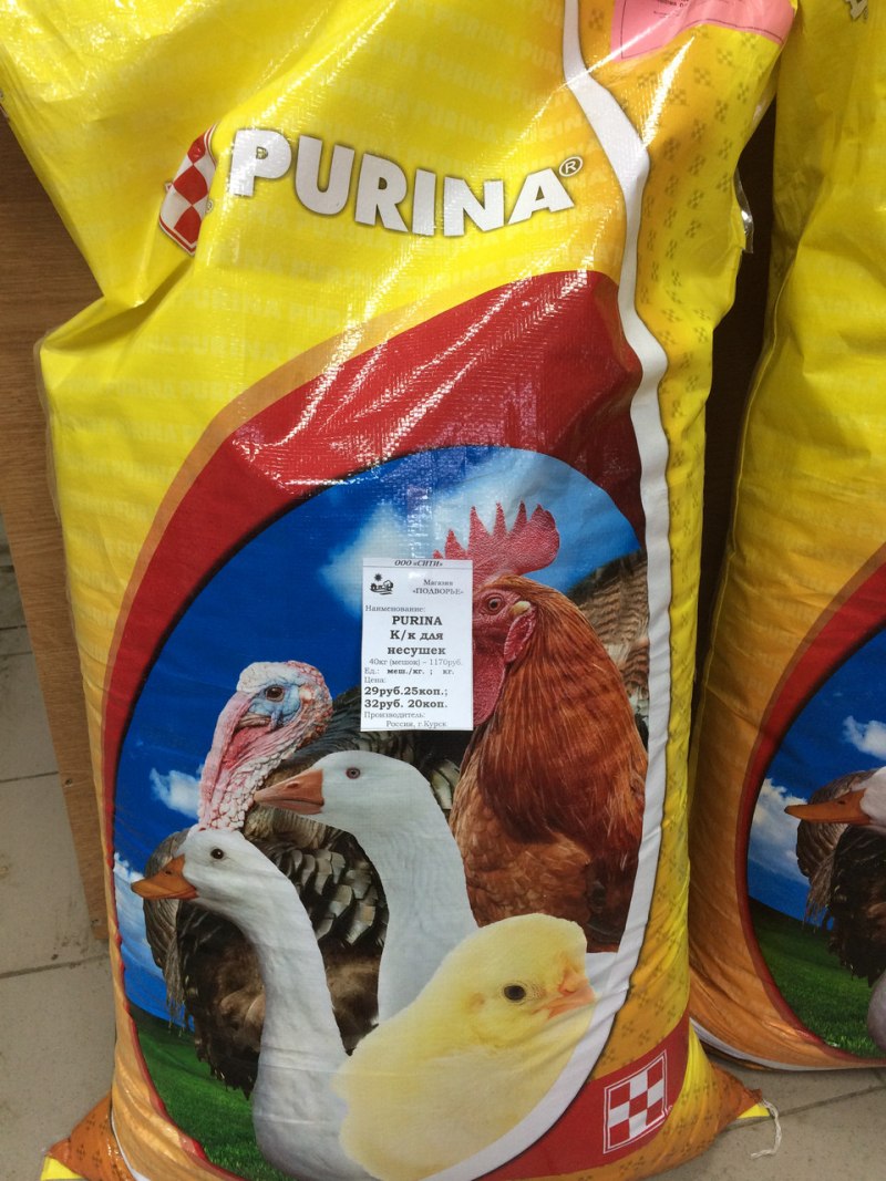 Пурина для кур несушек