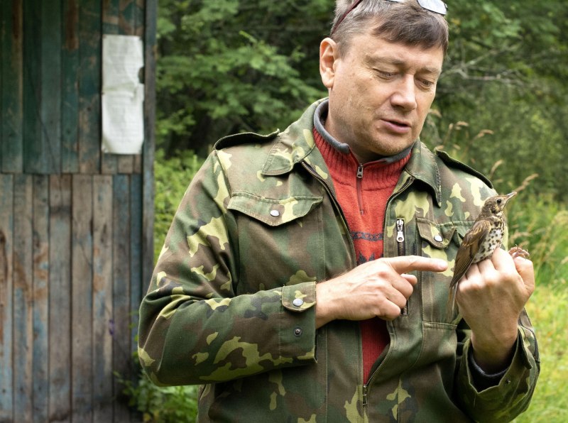 Птица с кольцом на лапе