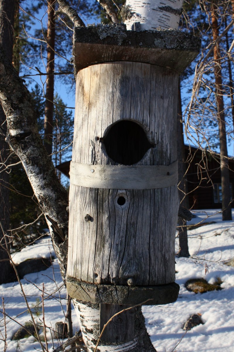 Скворечник из березы