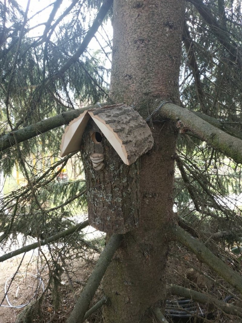 Дуплянки для Скворцов