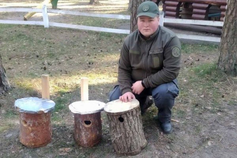 Домик для белки из колоды