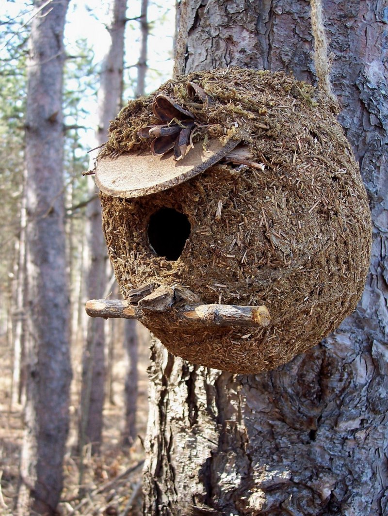 Скворечник из горбыля